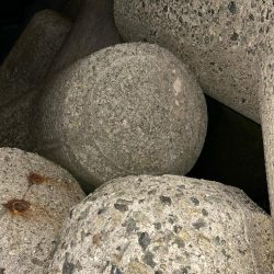 アジカサゴタコ