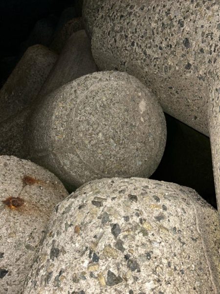 アジカサゴタコ