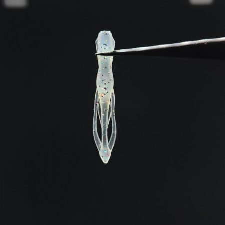 激渋ライトゲーム