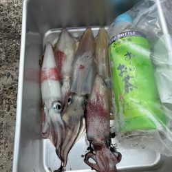 パターン掴めず…