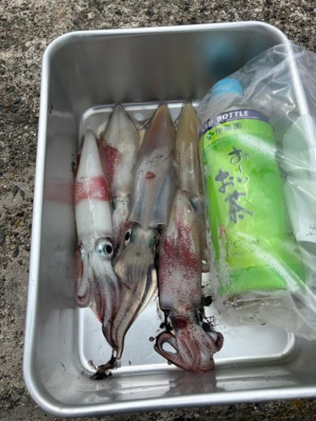 パターン掴めず…