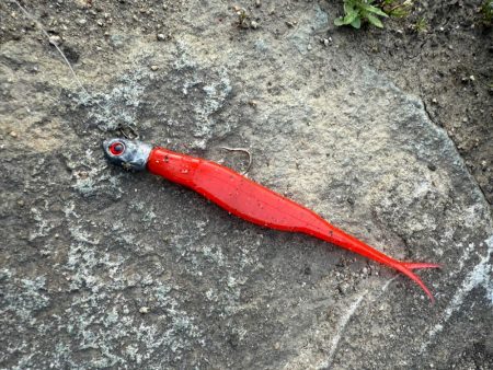 フラットフィッシュ