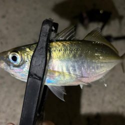 足元ポロリの原因は何⁇