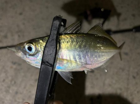 足元ポロリの原因は何⁇