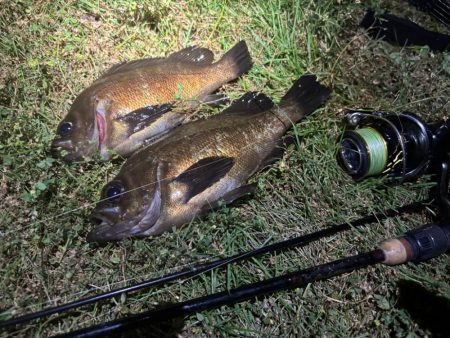 アジなめろうの手巻き寿司