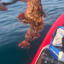 サップフィッシング