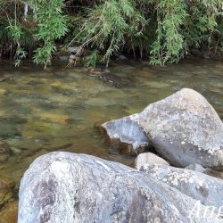 渇水、梅雨はどこへ？