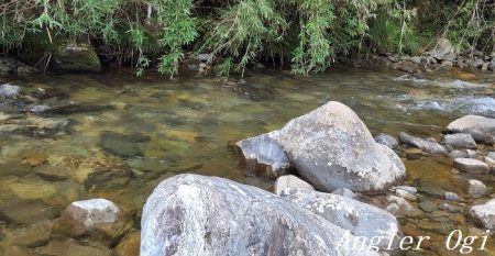 渇水、梅雨はどこへ？