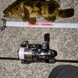 梅雨入りメバリング