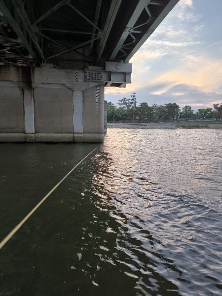 手長エビ初チャレンジ