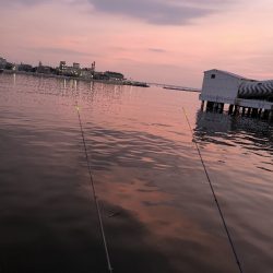 納涼アナゴ釣り