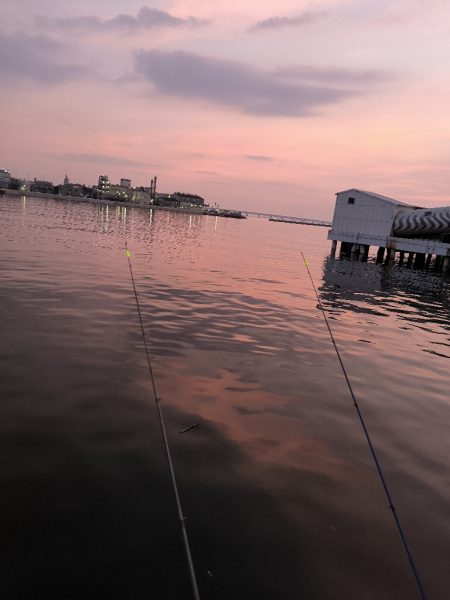 納涼アナゴ釣り