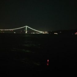 電気ウキ釣り 5