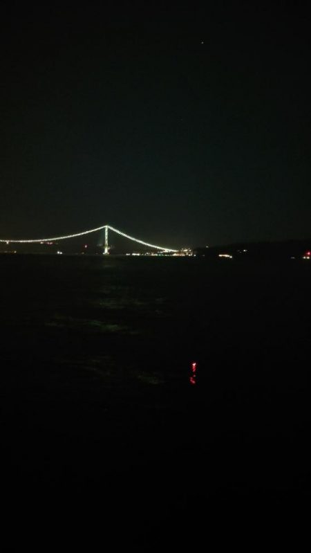 電気ウキ釣り 5