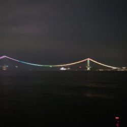 電気ウキ釣り 6