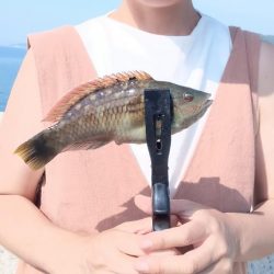 ちょい投げ淡路西側