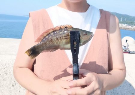 ちょい投げ淡路西側