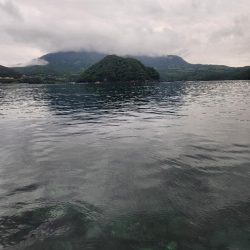 雨降りの中ロックフィッシュ