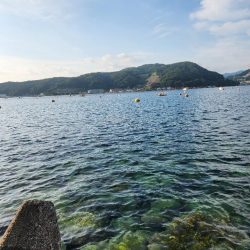 ロックフィッシュ三昧