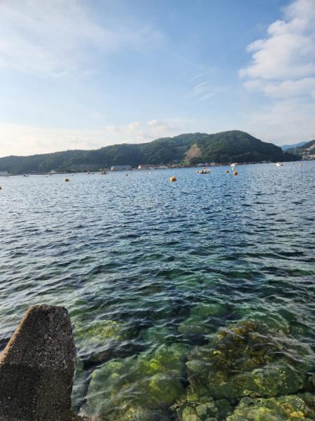 ロックフィッシュ三昧