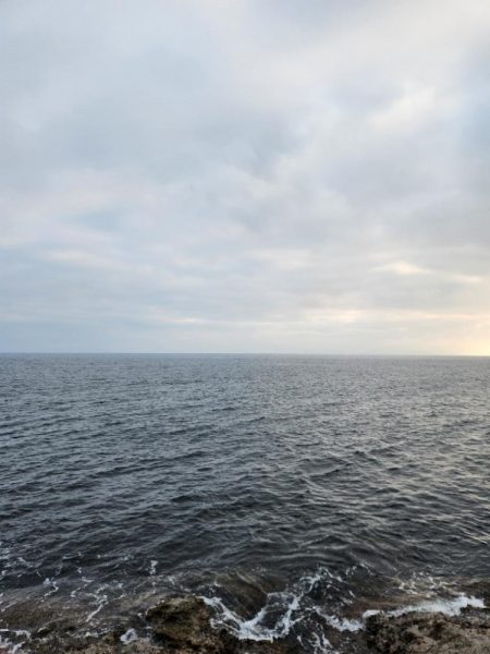 ロックフィッシュは面白い