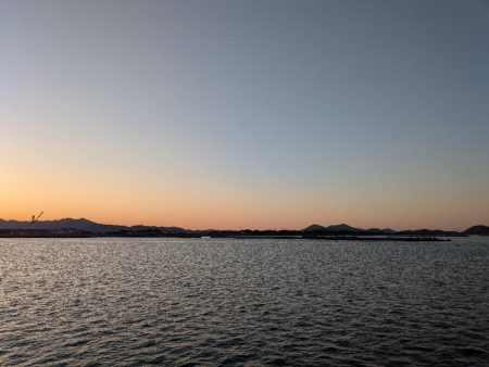 メバル、旅に出る