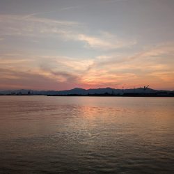 ハゼのちガシラ