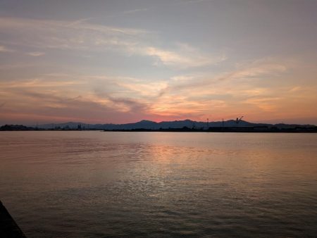 ハゼのちガシラ