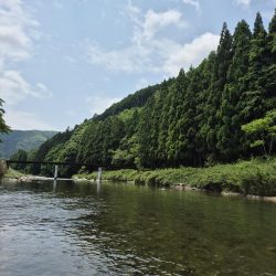 海から川へ走ります