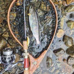 朝から入ってみた