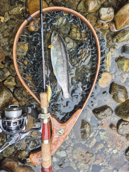 朝から入ってみた