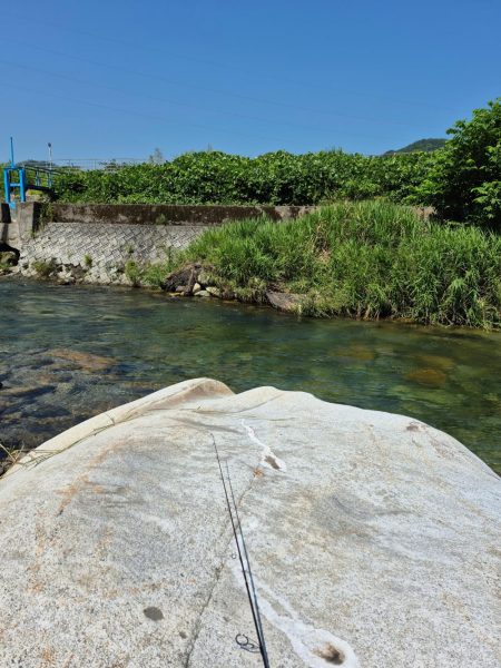 先週ヤマメアマゴ好調やったから川へ