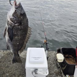 初ポイントにてふかせ釣り