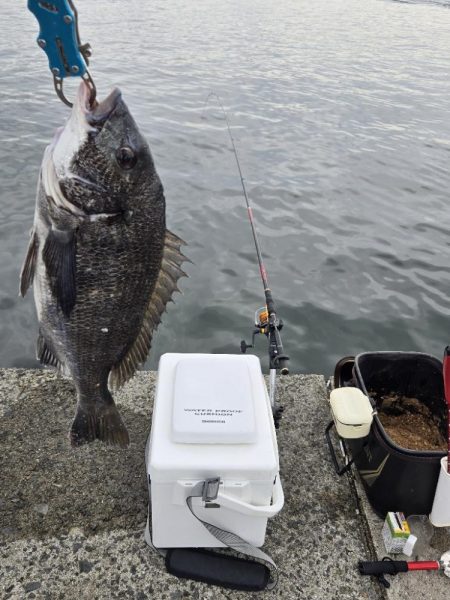 初ポイントにてふかせ釣り