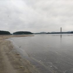 雨の中、ヒラセイゴをゲット！