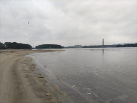 雨の中、ヒラセイゴをゲット！