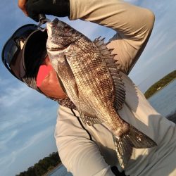 チヌとヒラセイゴが釣れました!