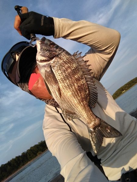 チヌとヒラセイゴが釣れました!