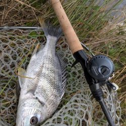 完全潮止まり大苦戦チニング