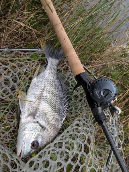 完全潮止まり大苦戦チニング