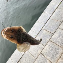 フワフワチニング