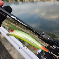 プラグチニング