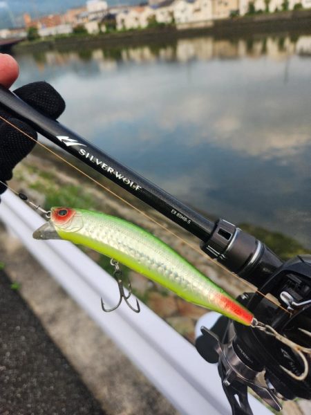 プラグチニング