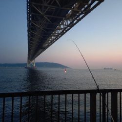 昨日のリベンジ釣行🎣
