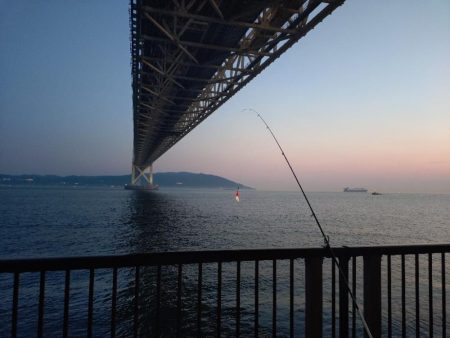昨日のリベンジ釣行🎣