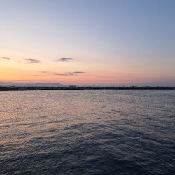 初夏のごん太アナゴ