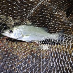 下げの｢分｣今まで逆。この日を境に。