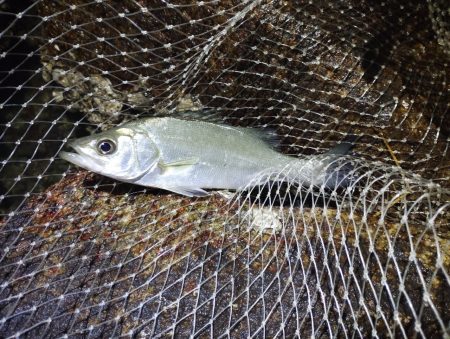 下げの｢分｣今まで逆。この日を境に。