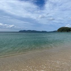 今日は小型メインでした