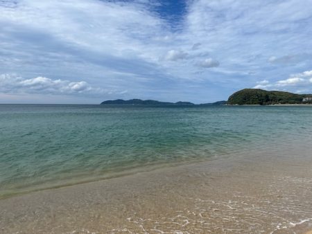 今日は小型メインでした